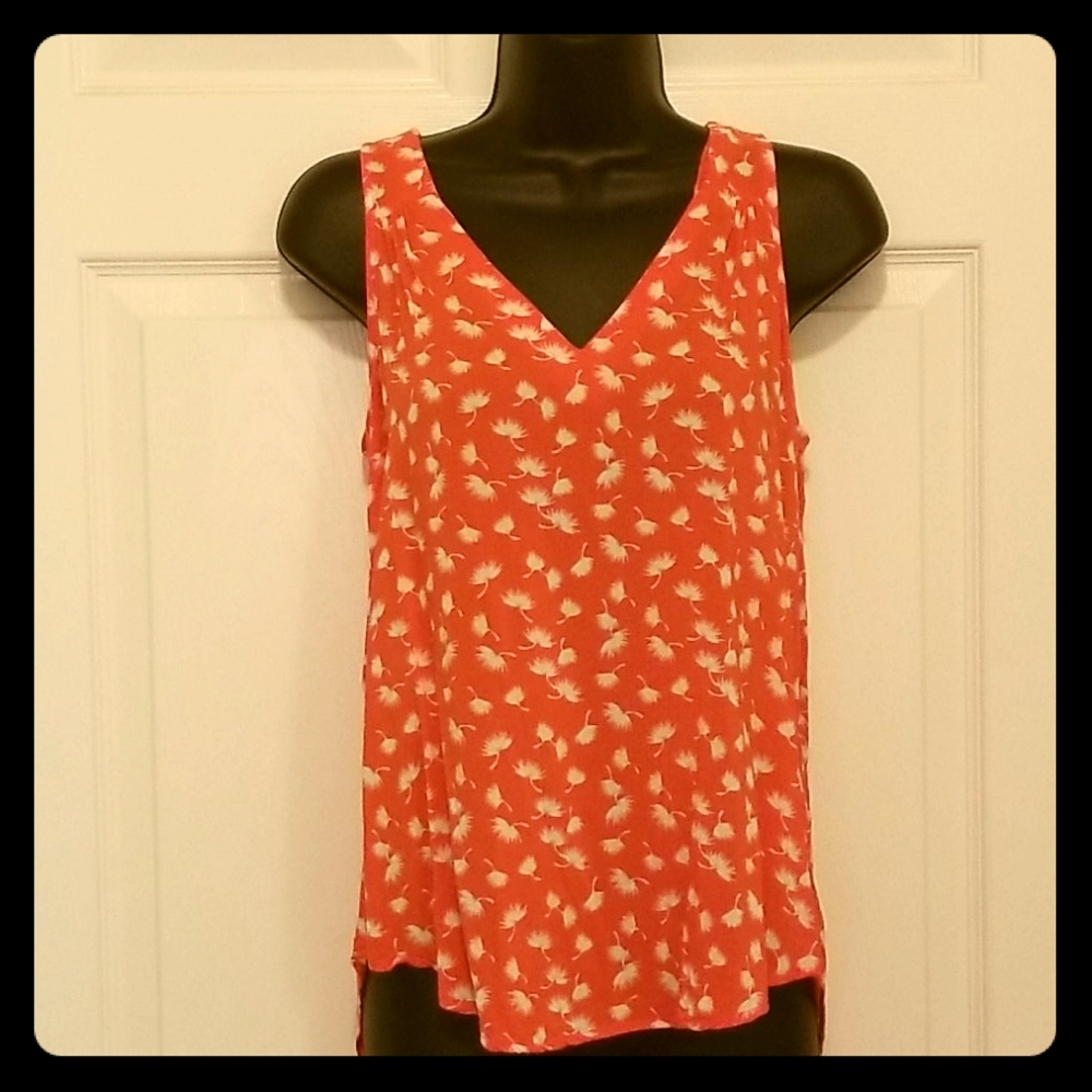 Dandelion top